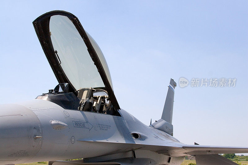 f - 16毒蛇